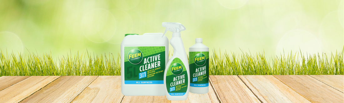 Wat is Feem Active Cleaner?