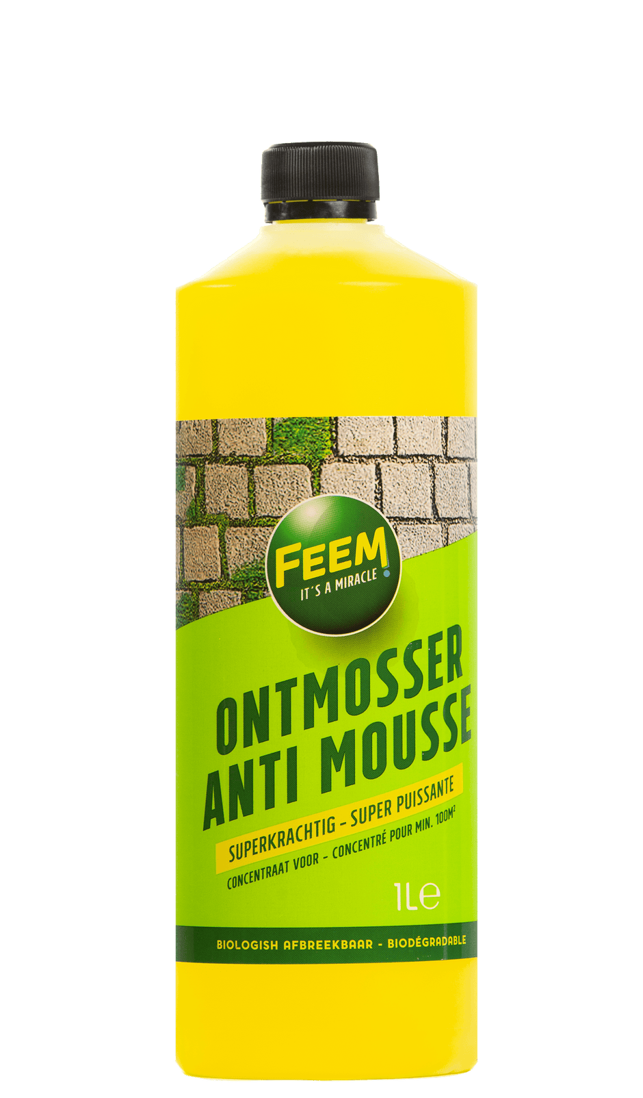 FEEM - It's a miracle – FEEM GROUP