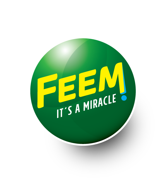 FEEM GROUP 