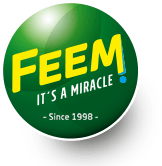 FEEM - It's a miracle – FEEM GROUP