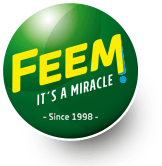 FEEM GROUP 